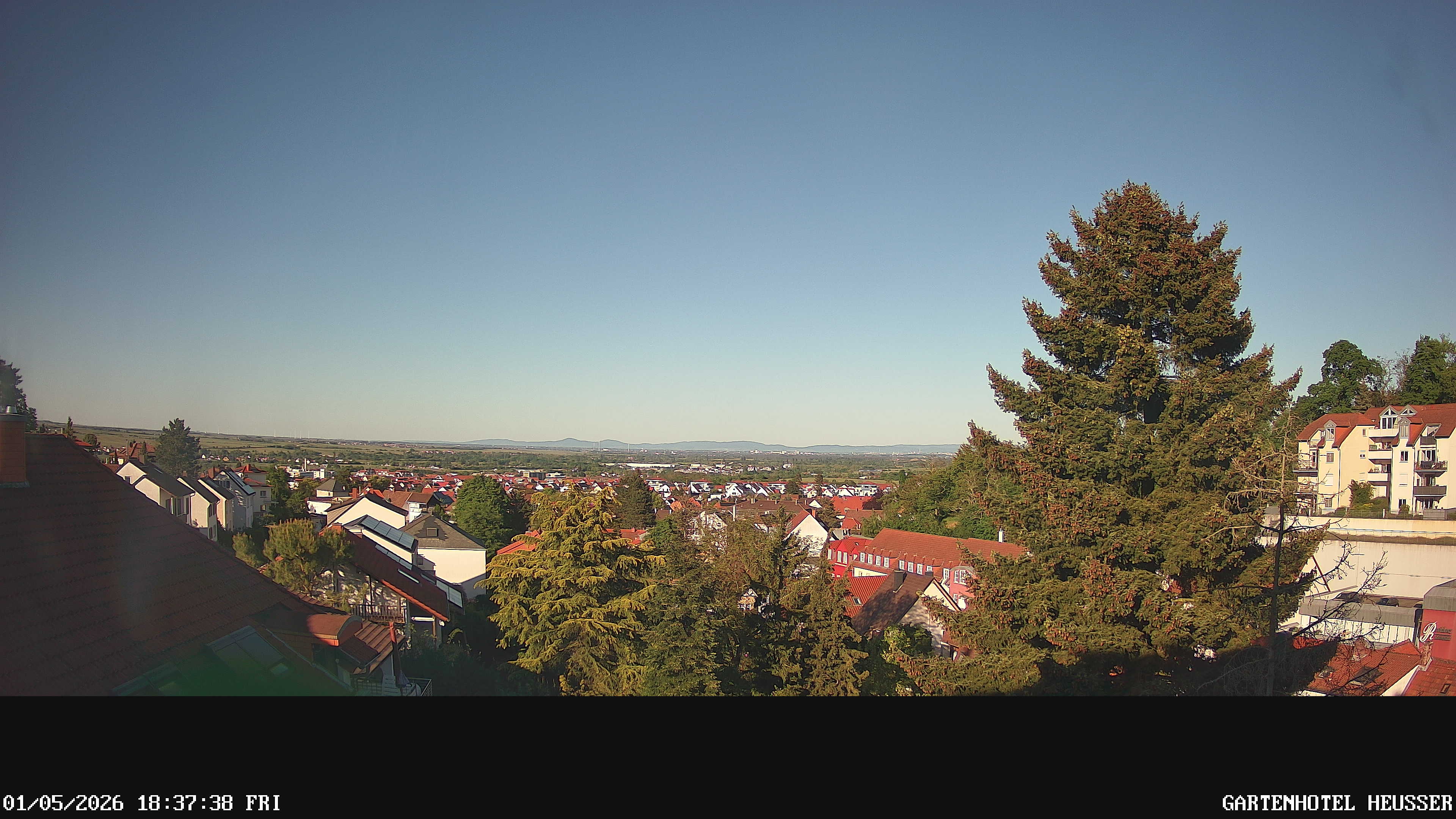 Webcam Bild